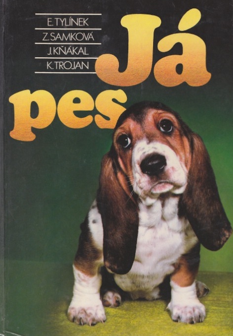 Obálka knihy