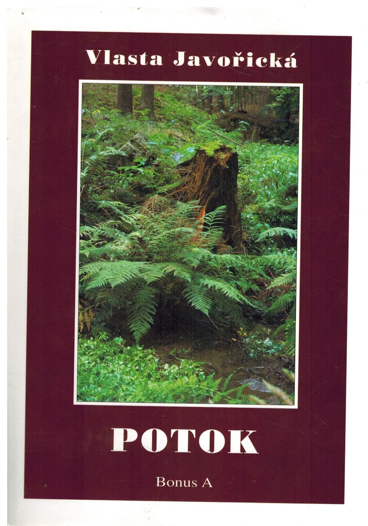 POTOK