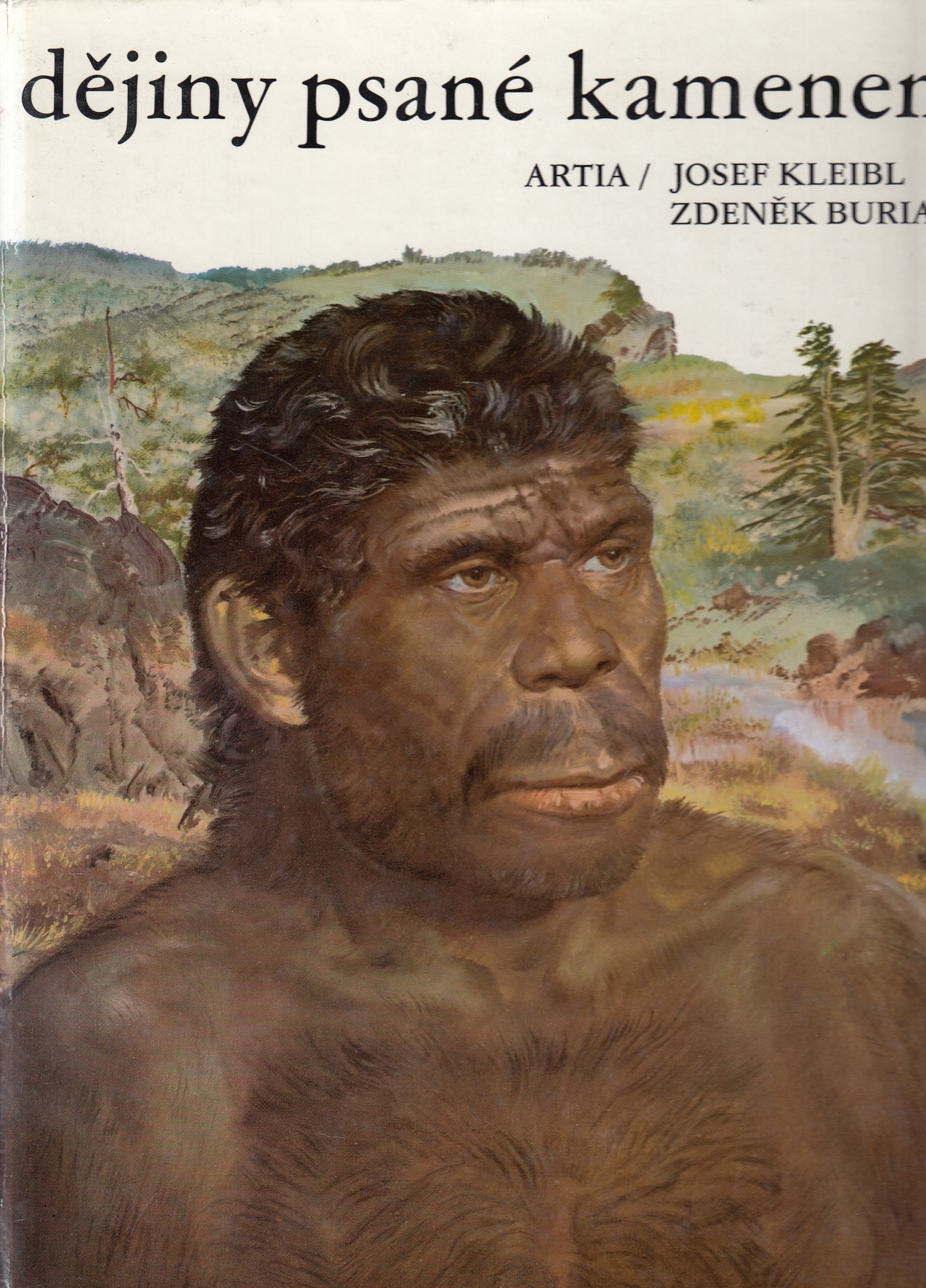 DĚJINY PSANÉ KAMENEM
