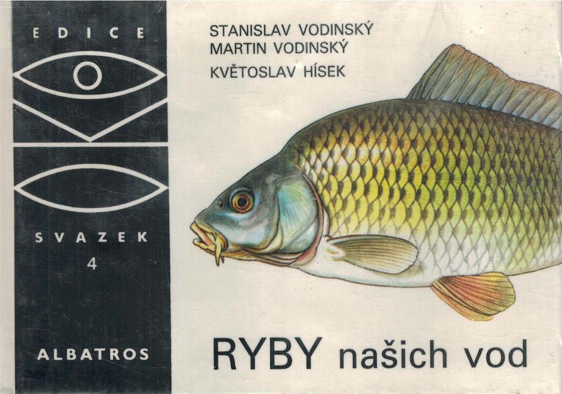 RYBY NAŠICH VOD