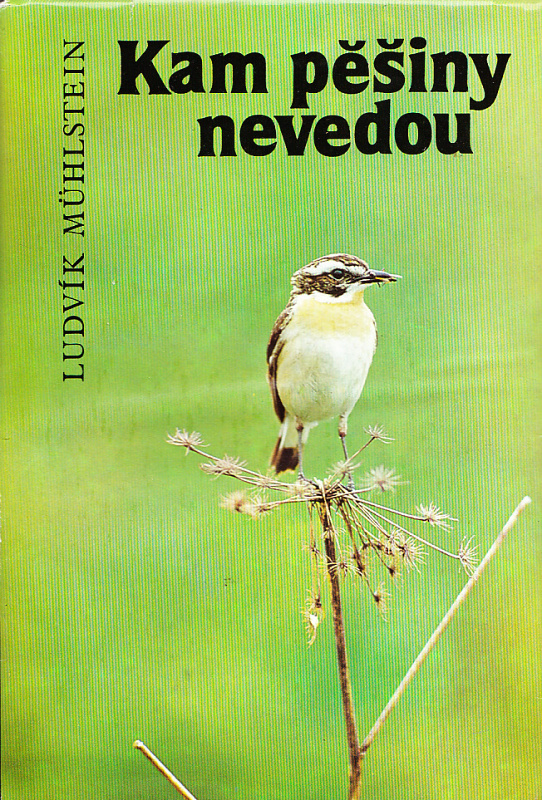 KAM PĚŠINY NEVEDOU