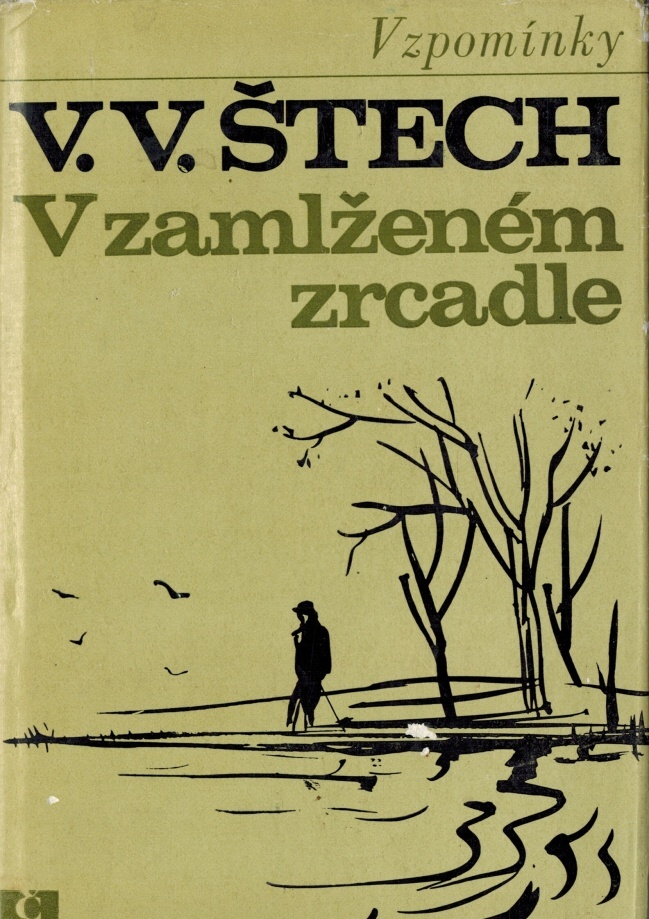 V ZAMLŽENÉM ZRCADLE