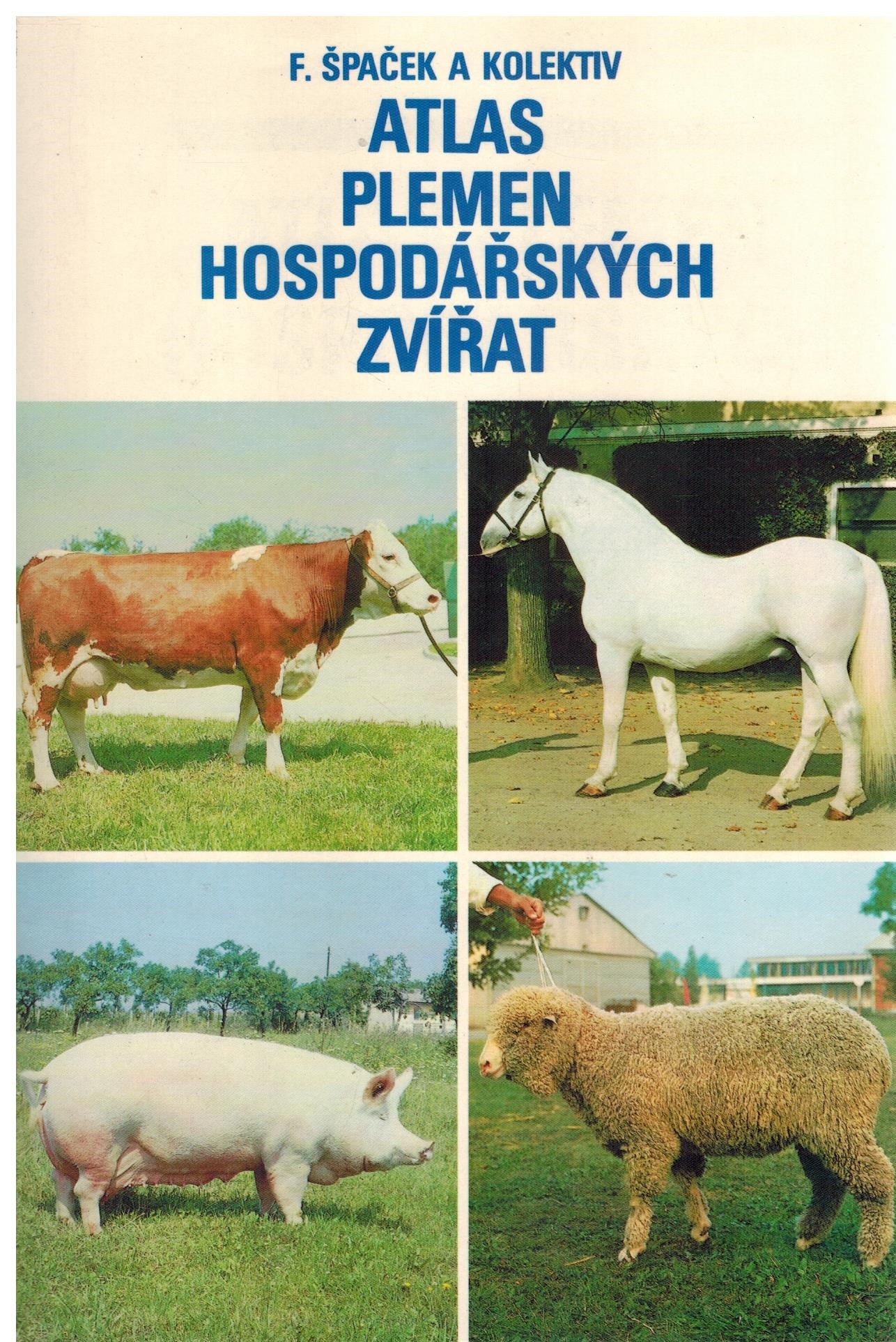 Obálka knihy