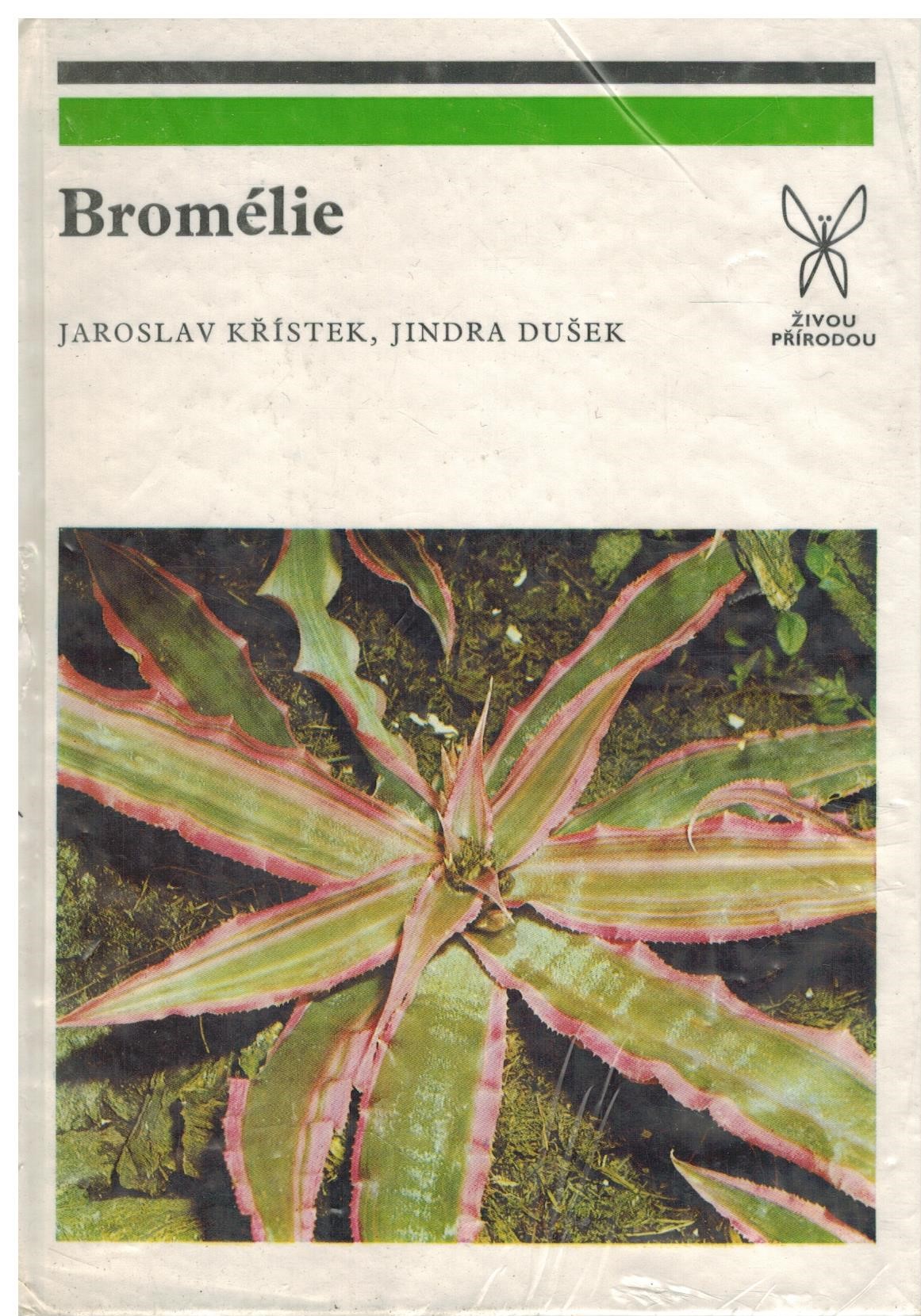 BROMÉLIE