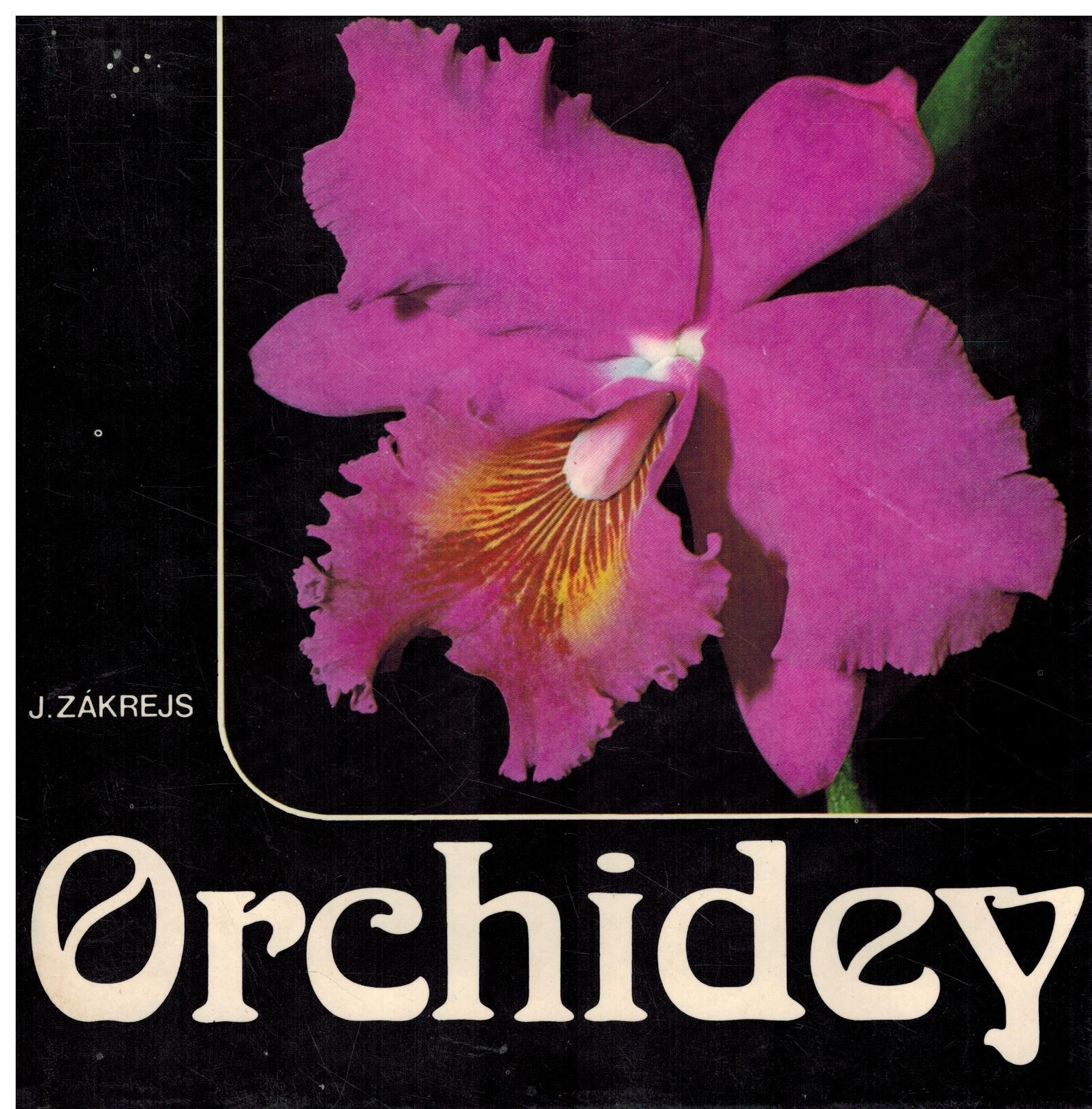 ORCHIDEY