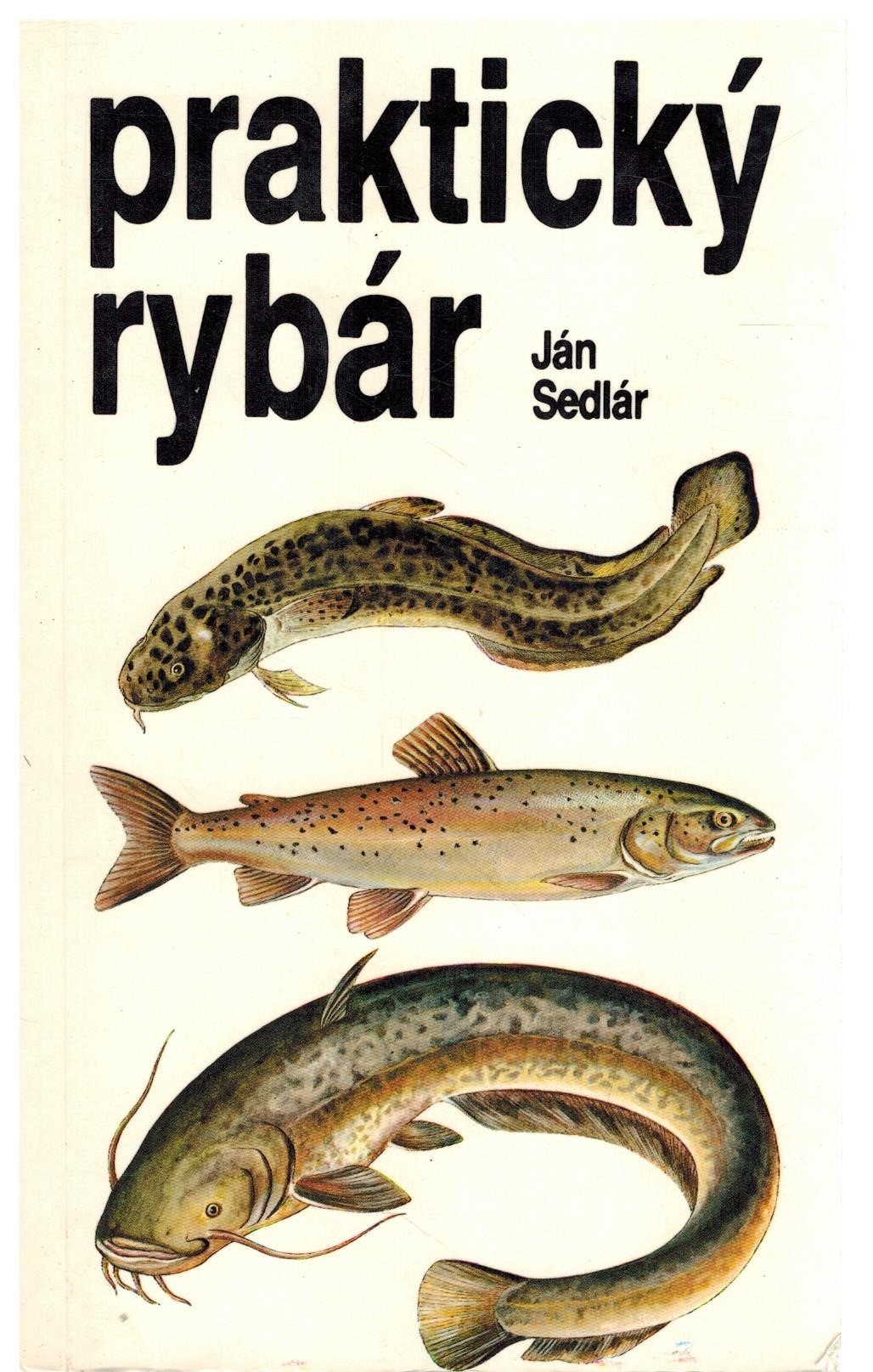 Obálka knihy