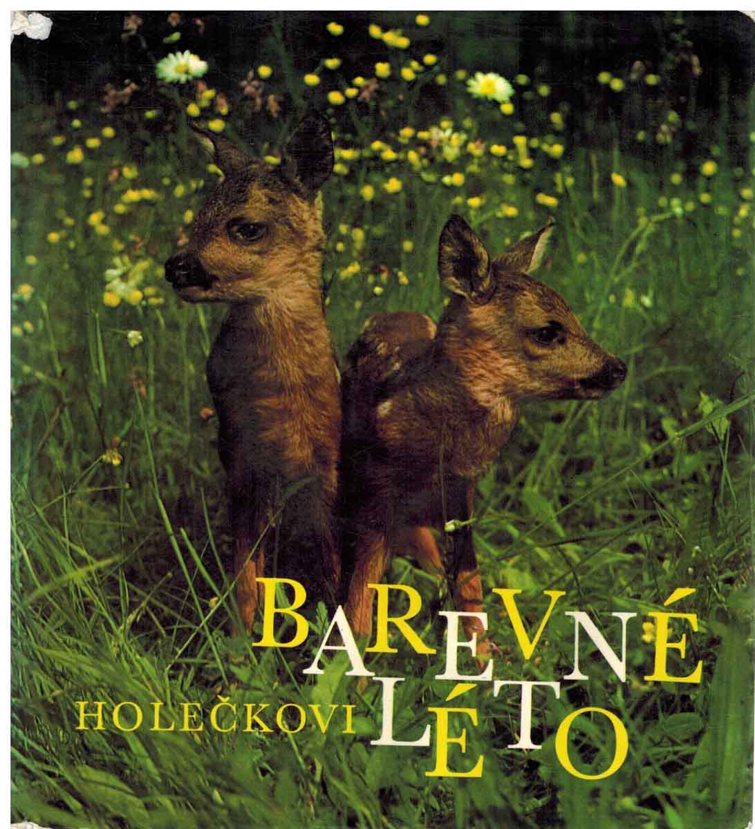 BAREVNÉ LÉTO