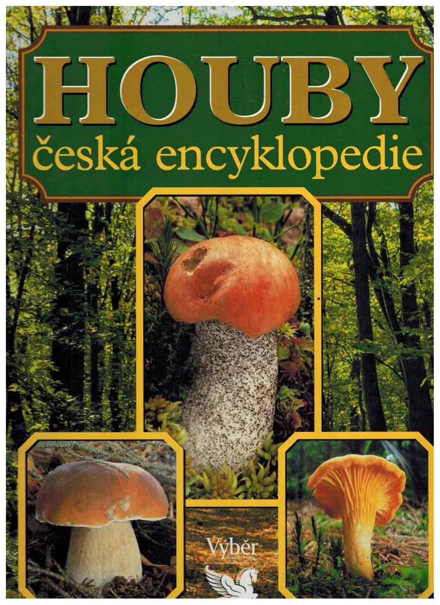 Obálka knihy