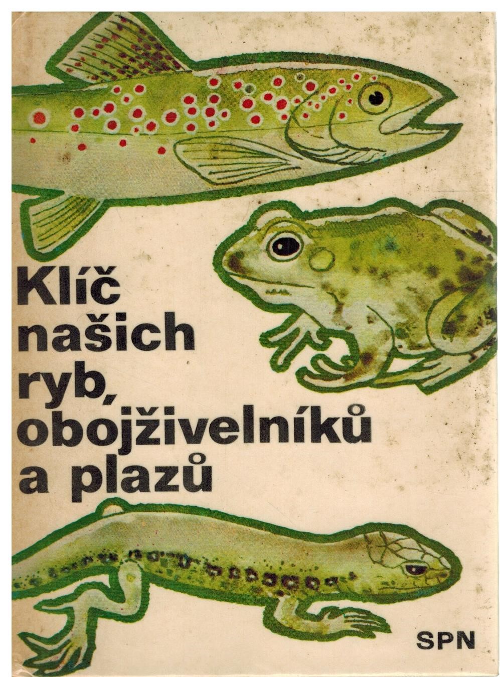 Obálka knihy