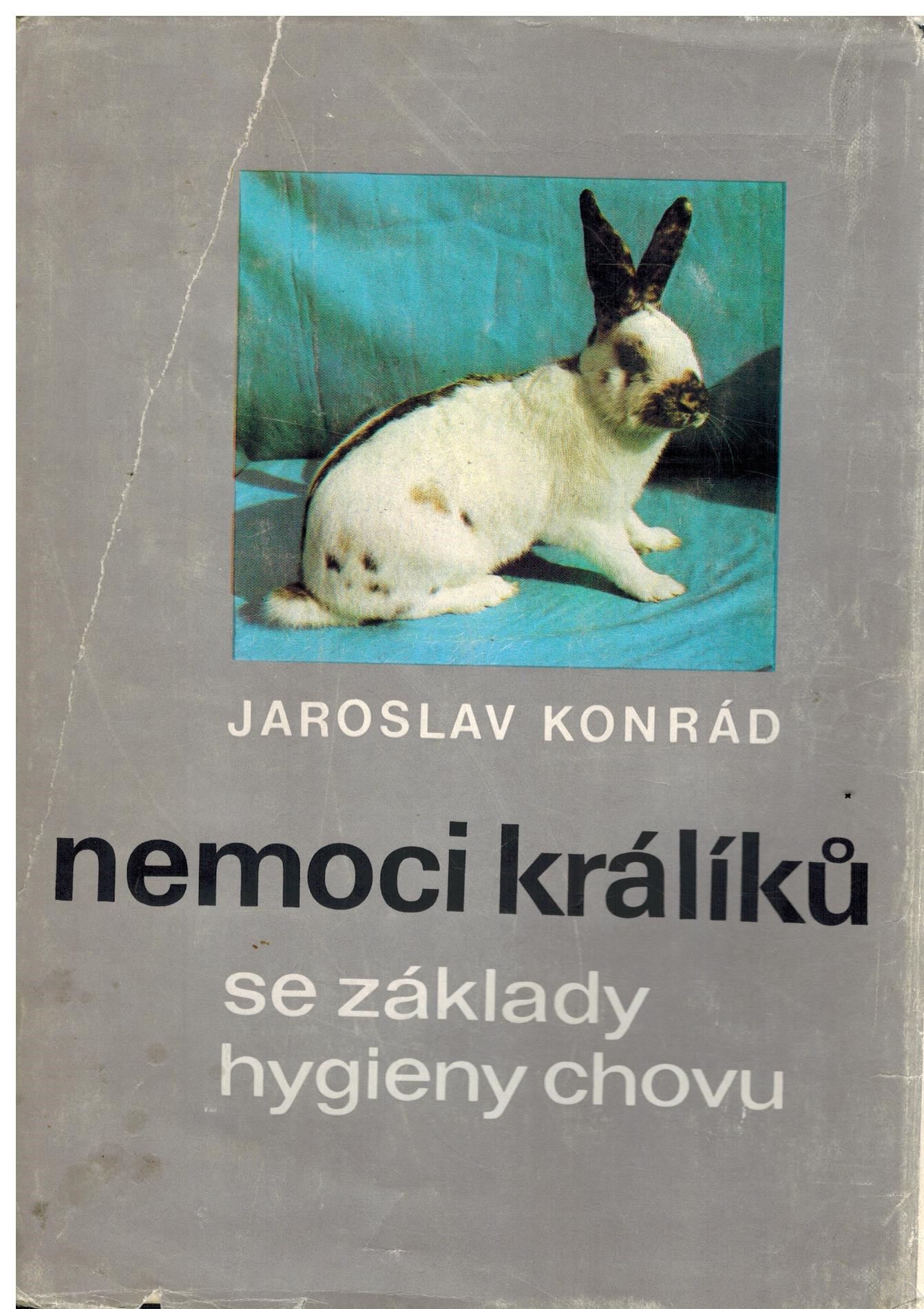 Obálka knihy