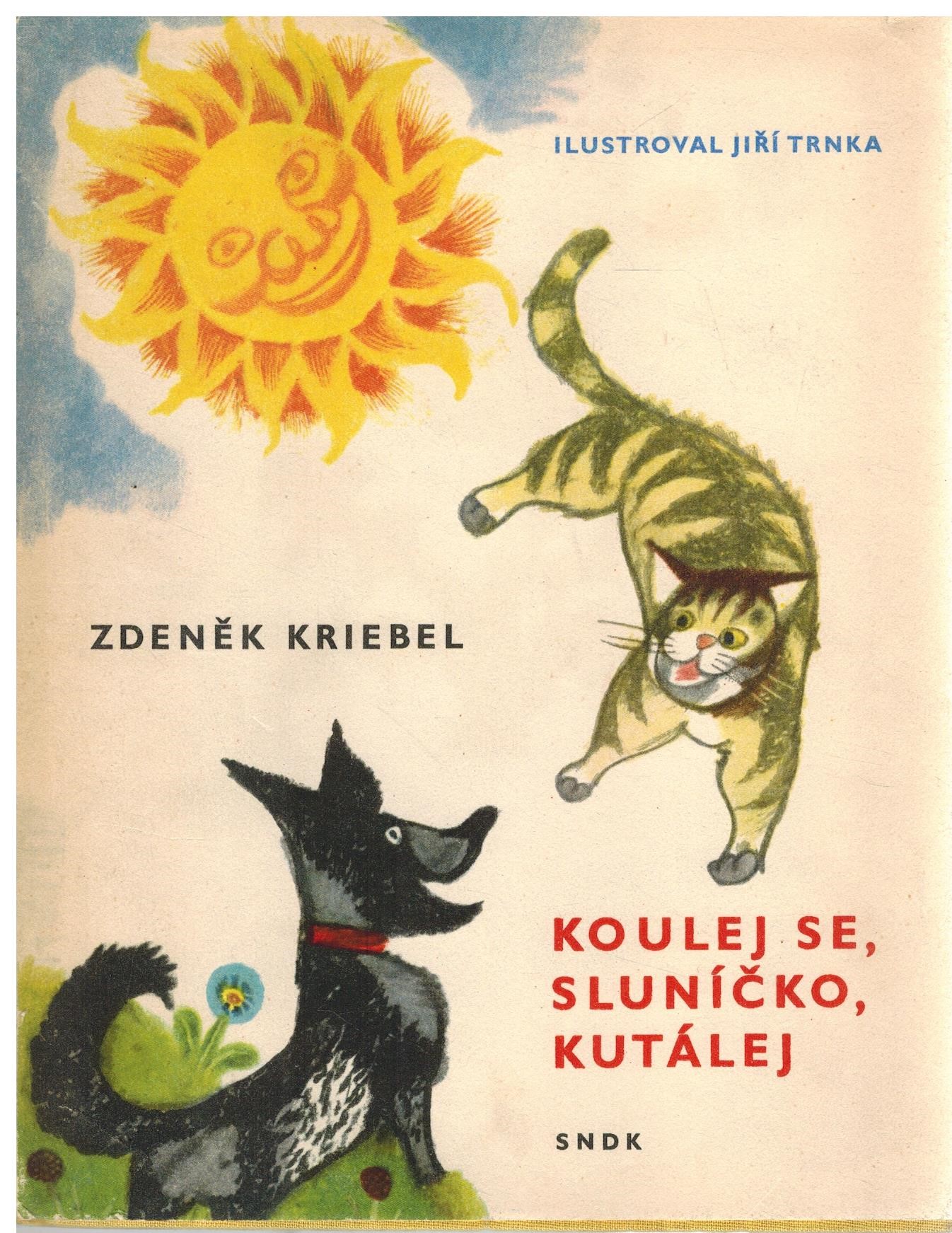Obálka knihy