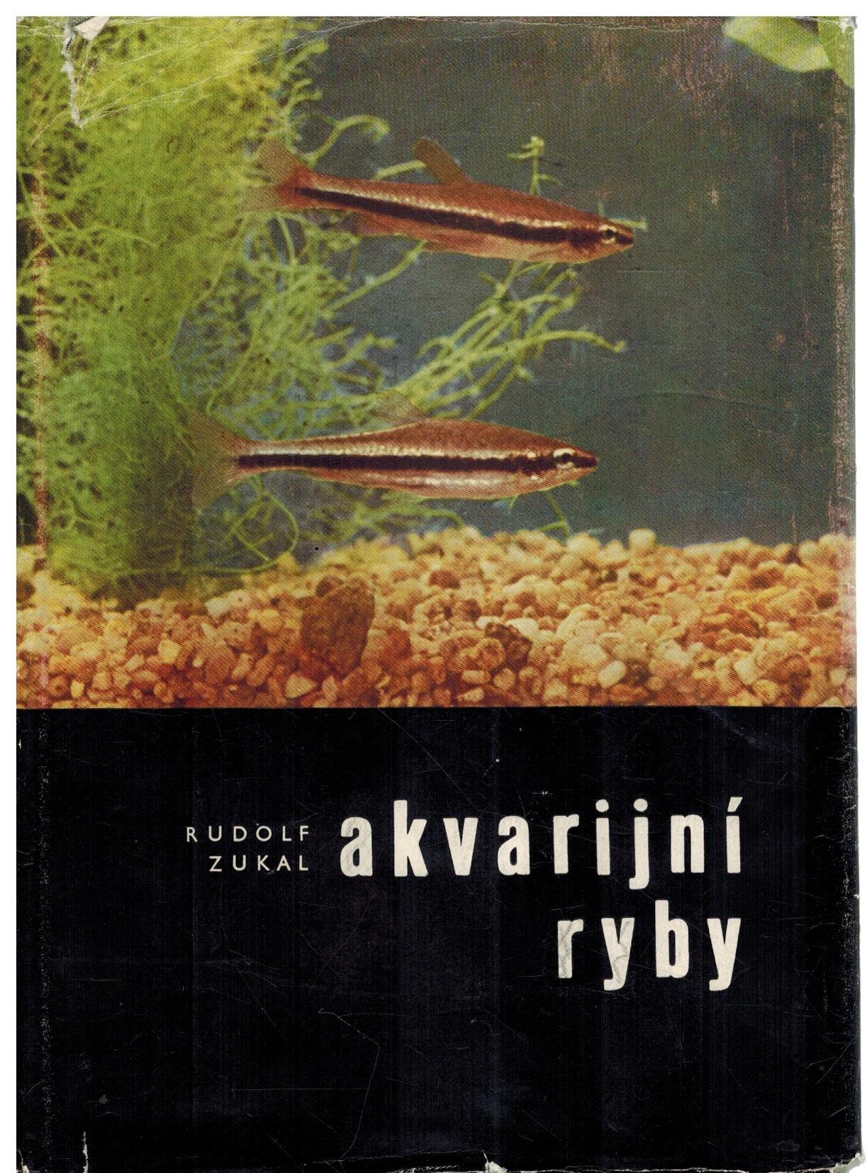 AKVARIJNÍ RYBY