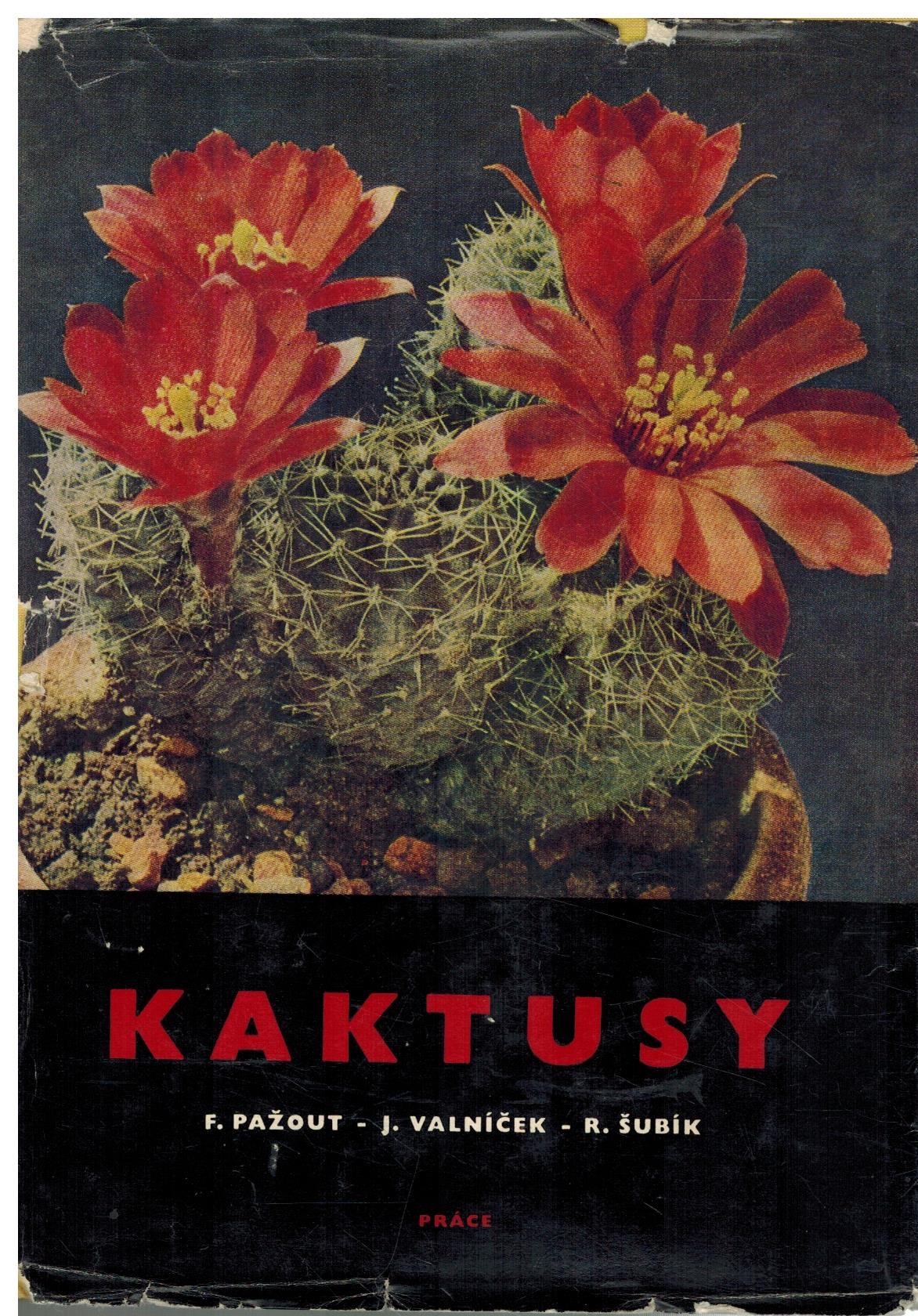 Obálka knihy