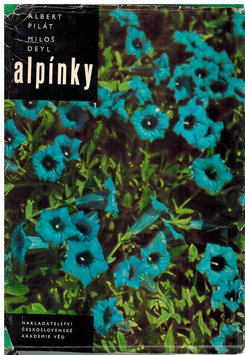 ALPÍNKY