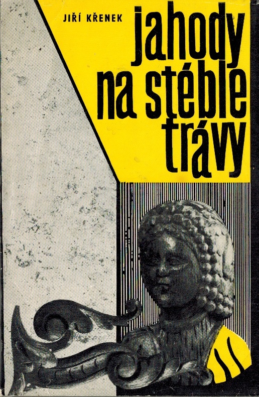 Obálka knihy