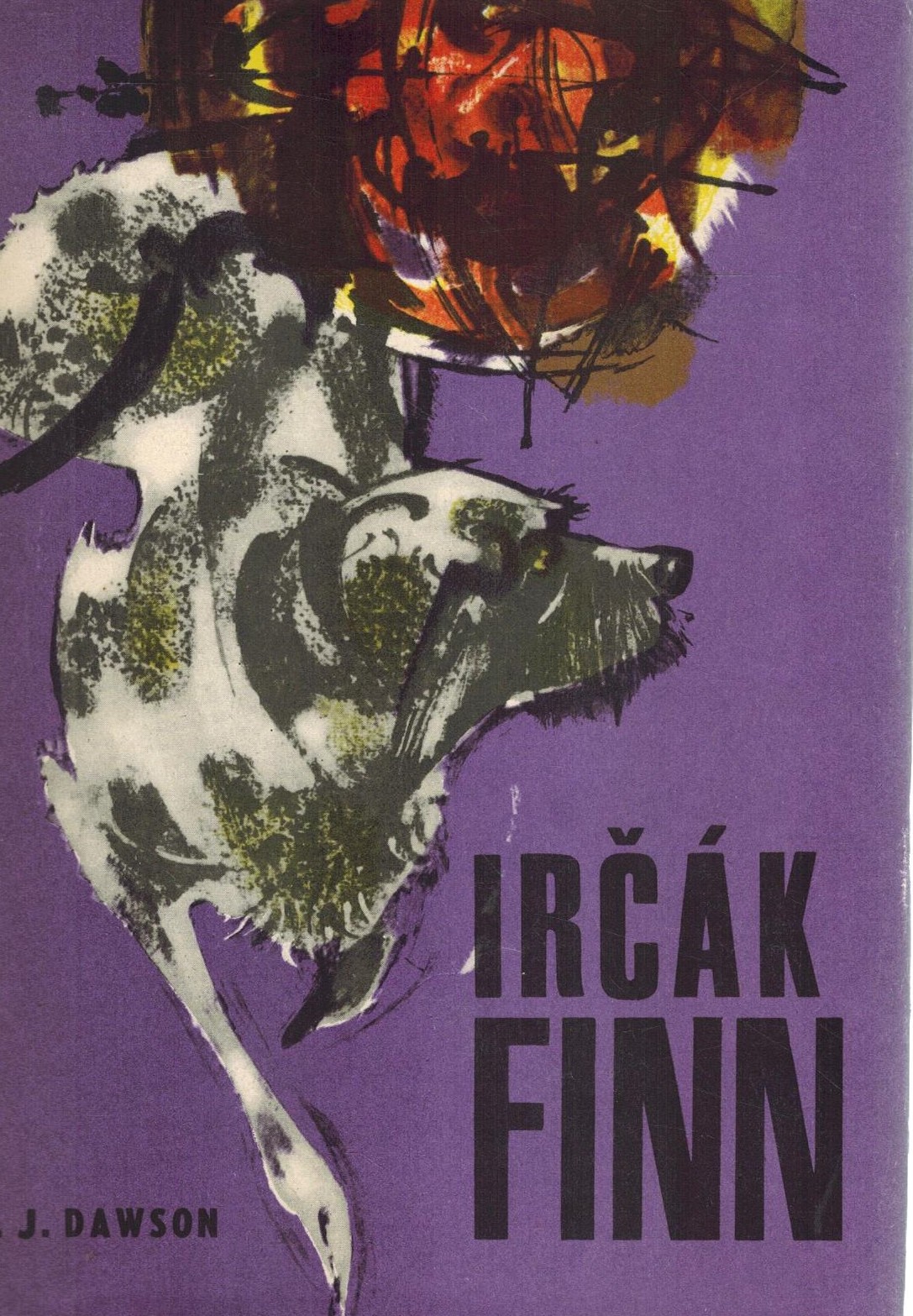 IRČÁK FINN