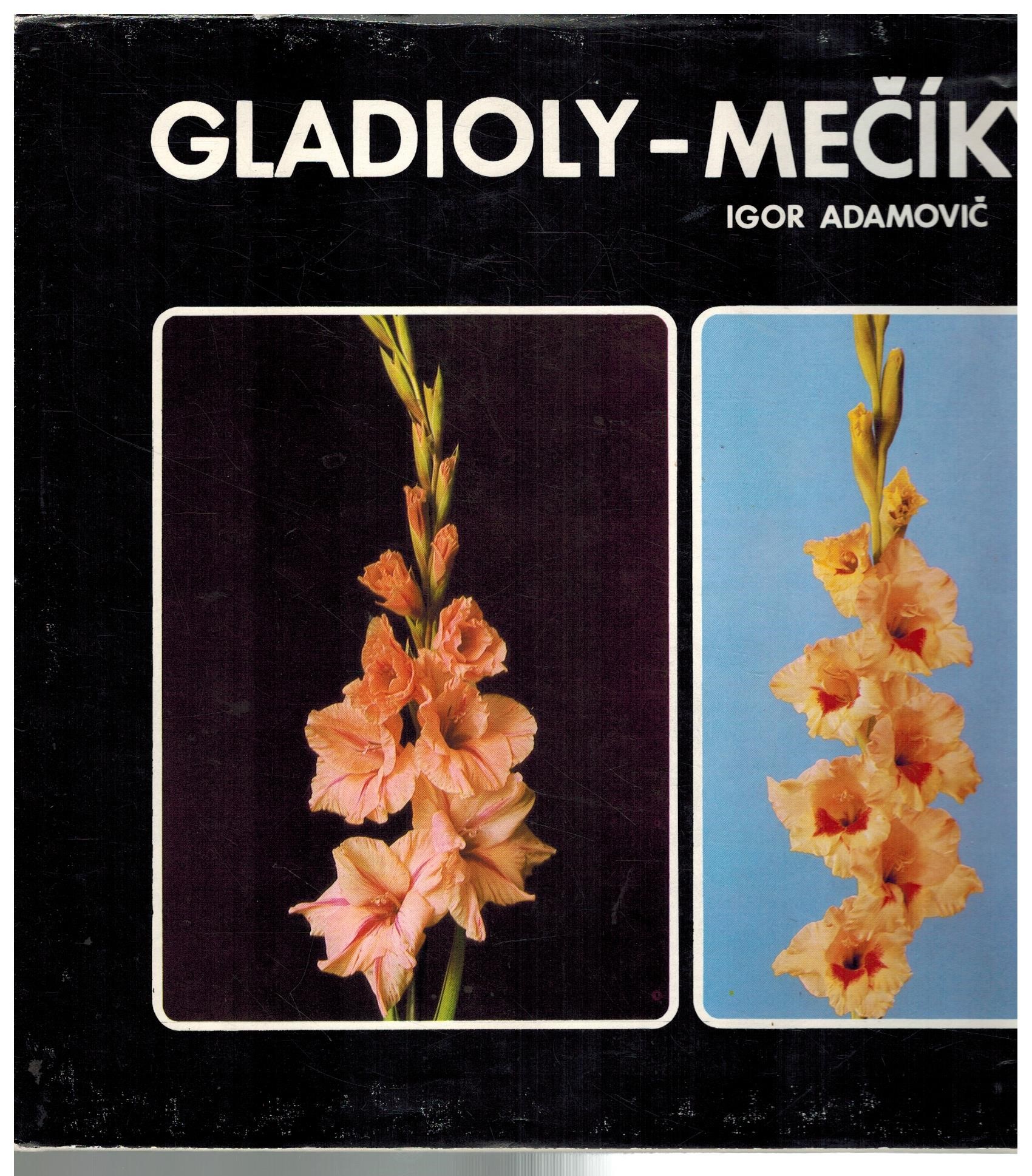 GLADIOLY-MEČÍKY