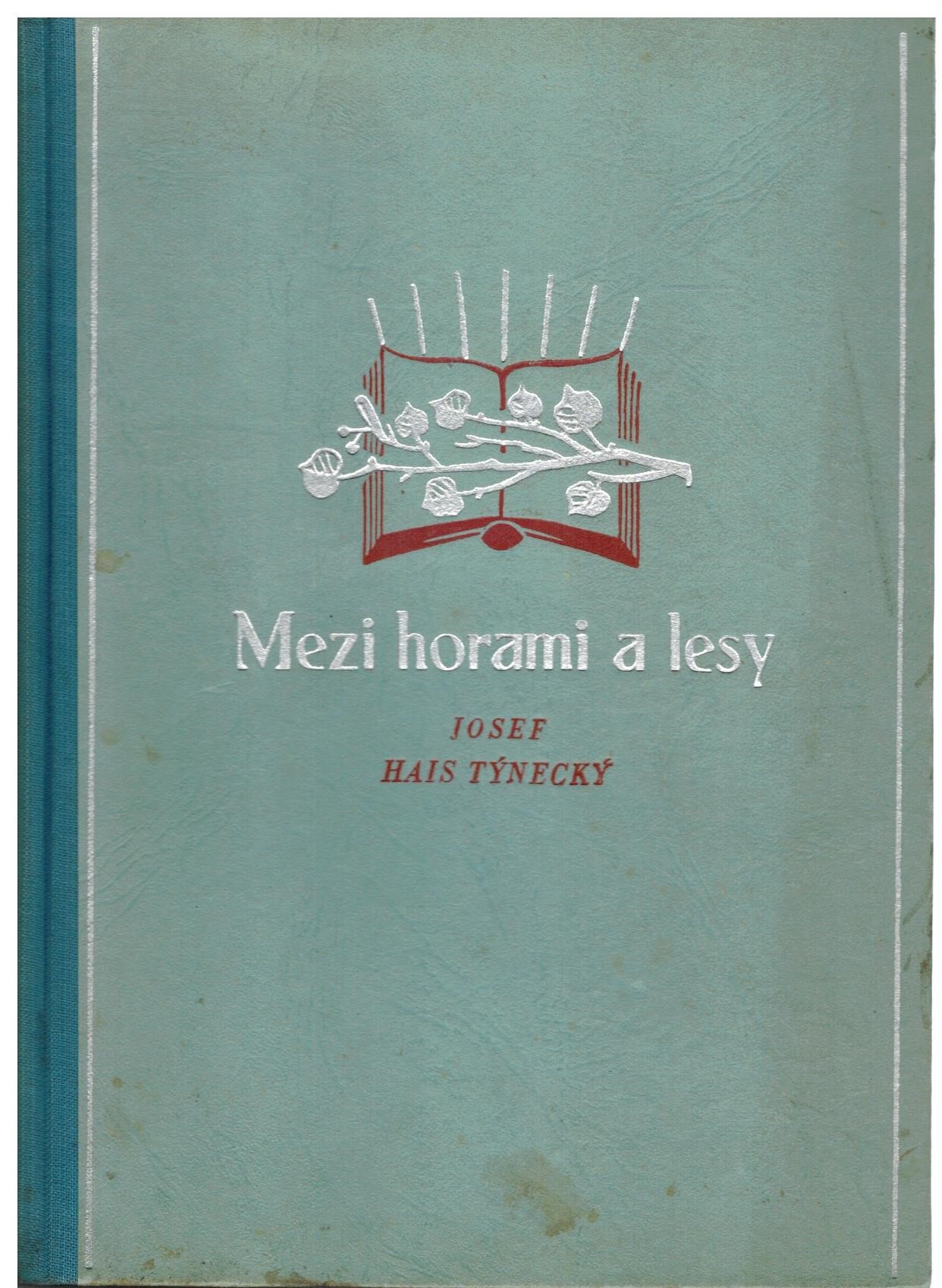 MEZI HORAMI A LESY