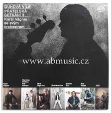 LP DUHOVÁ VÍLA PŘÁTELSKÁ SETKÁNÍ