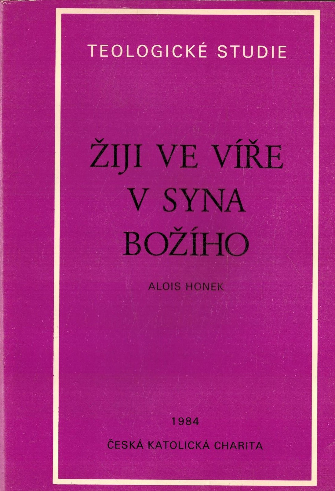 ŽIJ VE VÍŘE V SYNA BOŽÍHO