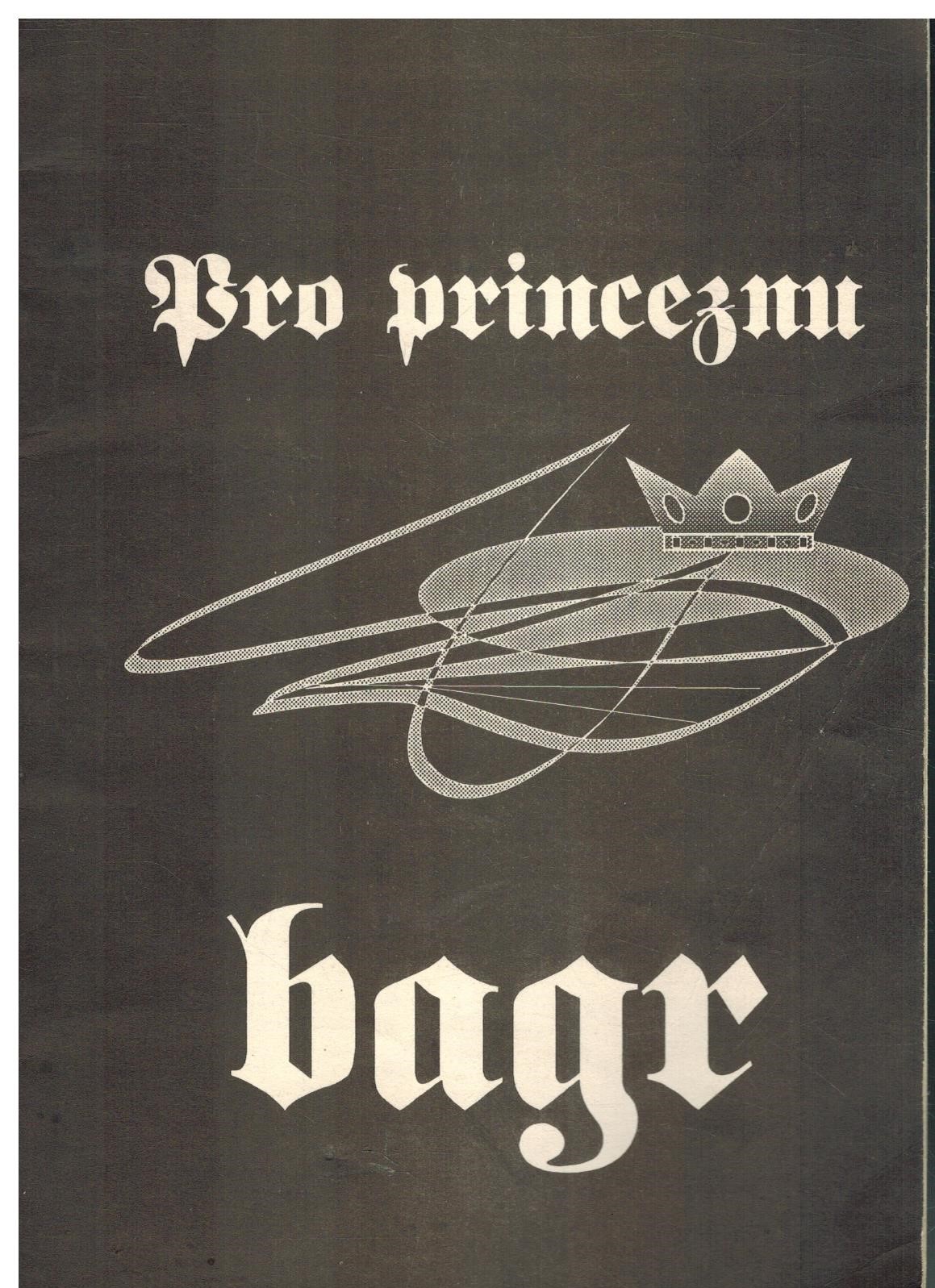 BAGR PRO PRINCEZNU