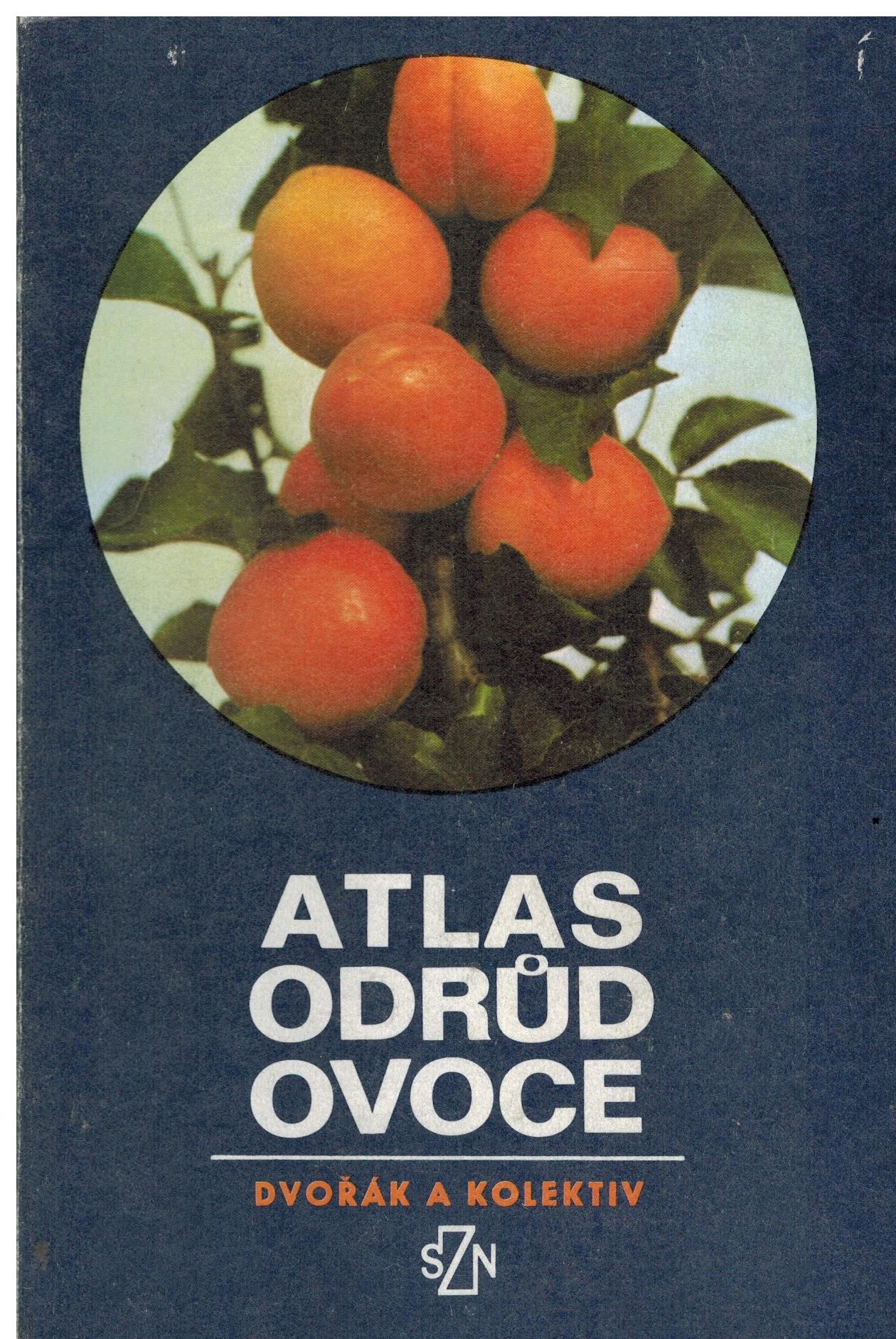 Obálka knihy
